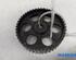 Camshaft Gear FIAT DOBLO Cargo (263_), FIAT DOBLO MPV (263_), FIAT BRAVO II (198_), FIAT PANDA (169_)