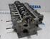 Cylinder Head RENAULT Clio IV Grandtour (KH)