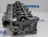 Cylinder Head RENAULT Clio IV Grandtour (KH)