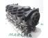 Cylinder Head FIAT Punto (188)