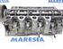 Cylinder Head RENAULT KANGOO Express (FW0/1_)