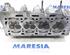 Cylinder Head RENAULT KANGOO Express (FW0/1_)