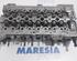 Cylinder Head FIAT DOBLO MPV (263_)