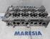 Cylinder Head FIAT DOBLO Cargo (263_)