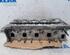 Cylinder Head FIAT DOBLO Cargo (263_)