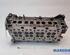 Cylinder Head RENAULT Master III Kasten (FV)