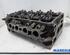 Cylinder Head RENAULT MEGANE III Grandtour (KZ0/1)