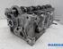 Cylinder Head RENAULT MEGANE III Grandtour (KZ0/1)