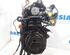 Motor kaal RENAULT Clio III (BR0/1, CR0/1)