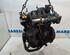 Motor kaal RENAULT Clio III (BR0/1, CR0/1)