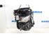 Bare Engine RENAULT Clio III (BR0/1, CR0/1)