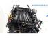 Bare Engine RENAULT Clio III (BR0/1, CR0/1)