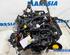 Motor kaal RENAULT Trafic III Kasten (FG)