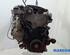 Bare Engine RENAULT Trafic III Kasten (FG)