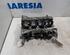 Bare Engine RENAULT MEGANE IV Grandtour (K9A/M/N_)