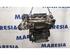 Bare Engine RENAULT TWINGO III (BCM_, BCA_)