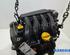 Bare Engine RENAULT CLIO III (BR0/1, CR0/1), RENAULT CLIO II (BB_, CB_)