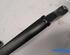 Wiper Arm CITROËN C4 III (BA_, BB_, BC_)