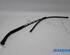 Wiper Arm CITROËN C5 III (RD_)