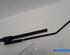 Wiper Arm PEUGEOT 207 (WA_, WC_), PEUGEOT 207 CC (WD_)