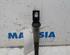 Ignition Coil PEUGEOT 5008 (0E, 0U)