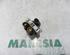 Ignition Coil FIAT PANDA (169_), FIAT PANDA (141_), FIAT CINQUECENTO (170_), FIAT PUNTO (176_)