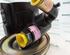 Power steering pump LANCIA DELTA II (836_), FIAT BRAVA (182_), FIAT BRAVO I (182_), FIAT MAREA (185_)