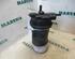 Fuel filter housing RENAULT Laguna II Grandtour (KG0/1)