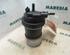 Fuel filter housing RENAULT KANGOO Express (FC0/1_)