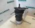 Fuel filter housing RENAULT LAGUNA II Grandtour (KG0/1_)