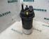 Fuel filter housing RENAULT GRAND SCÉNIC II (JM0/1_)