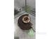 Stub Axle MERCEDES-BENZ VIANO (W639)