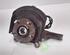 Stub Axle NISSAN QASHQAI / QASHQAI +2 I (J10, NJ10, JJ10E)