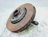 Stub Axle RENAULT CLIO V (B7_)