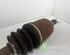 Drive Shaft HONDA CIVIC VII Hatchback (EU, EP, EV)