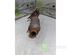 Catalytic Converter PEUGEOT 107 (PM_, PN_)