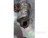 Catalytic Converter RENAULT CLIO V (B7_)