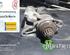 Starter VW POLO (6R1, 6C1), AUDI A1 (8X1, 8XK), AUDI A1 Sportback (8XA, 8XF)