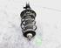 Suspension Strut RENAULT CLIO V (B7_)