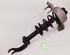 Suspension Strut AUDI A4 (8K2, B8)