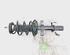 Suspension Strut RENAULT CLIO V (B7_)