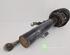 Suspension Strut BMW 3 Touring (E91)