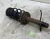 Suspension Strut CITROËN C1 (PM_, PN_), PEUGEOT 107 (PM_, PN_)