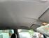 Front Interior Roof Trim Panel MITSUBISHI GRANDIS (NA_W)