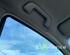 Front Interior Roof Trim Panel TOYOTA YARIS (_P9_)