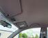 Front Interior Roof Trim Panel MAZDA 2 (DY)