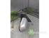 Wing (Door) Mirror VW POLO (9N_)