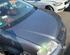 Bonnet VW TOURAN (1T1, 1T2), VW TOURAN (1T3), VW TOURAN VAN (1T1, 1T2)