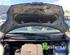 Bonnet PEUGEOT 107 (PM_, PN_)