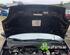 Bonnet FIAT GRANDE PUNTO (199_), FIAT PUNTO (199_), FIAT PUNTO EVO (199_), ABARTH PUNTO (199_)